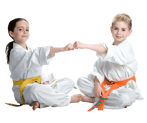 Martial Arts Lessons for Kids in Chicago IL - Kids Greeting Happy Footer Banner