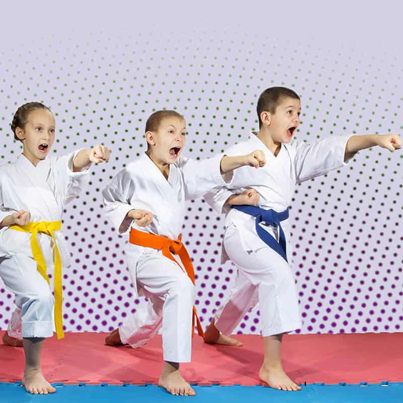 Martial Arts Lessons for Kids in Chicago IL - Punching Focus Kids Sync